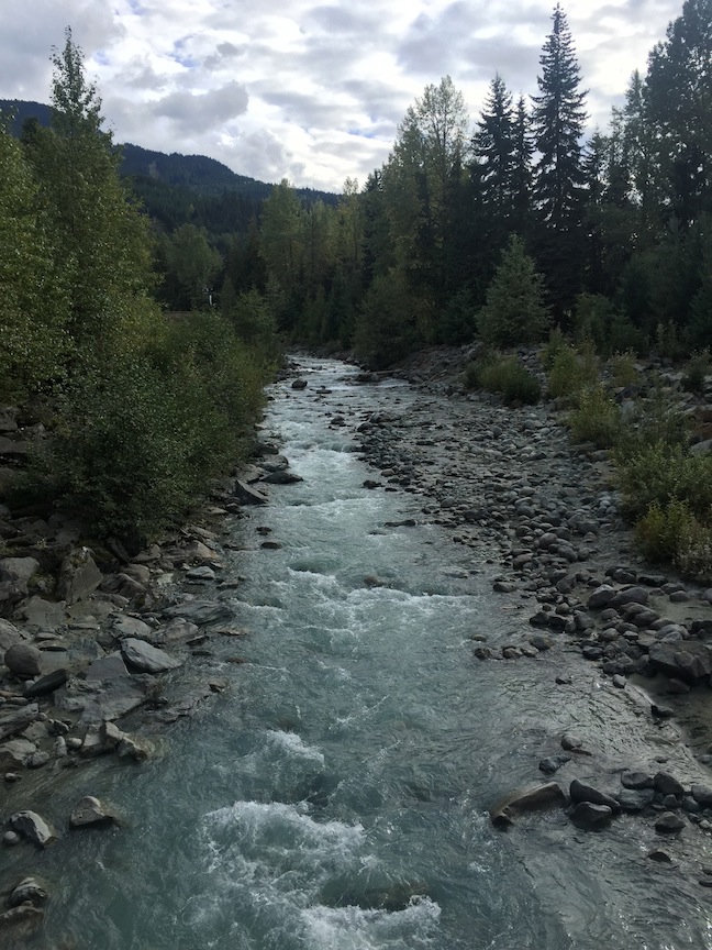 whistler river