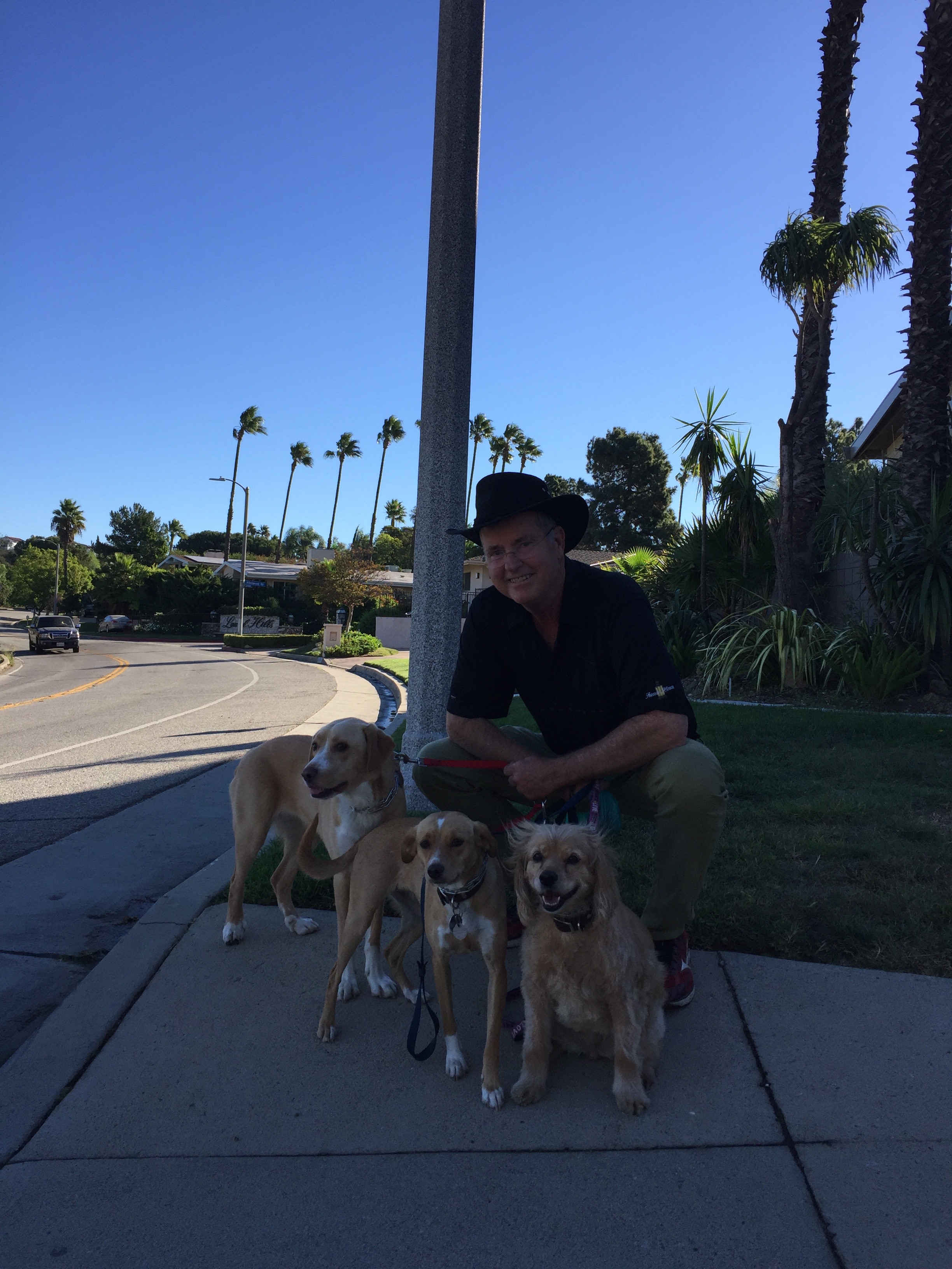 dad + dogs