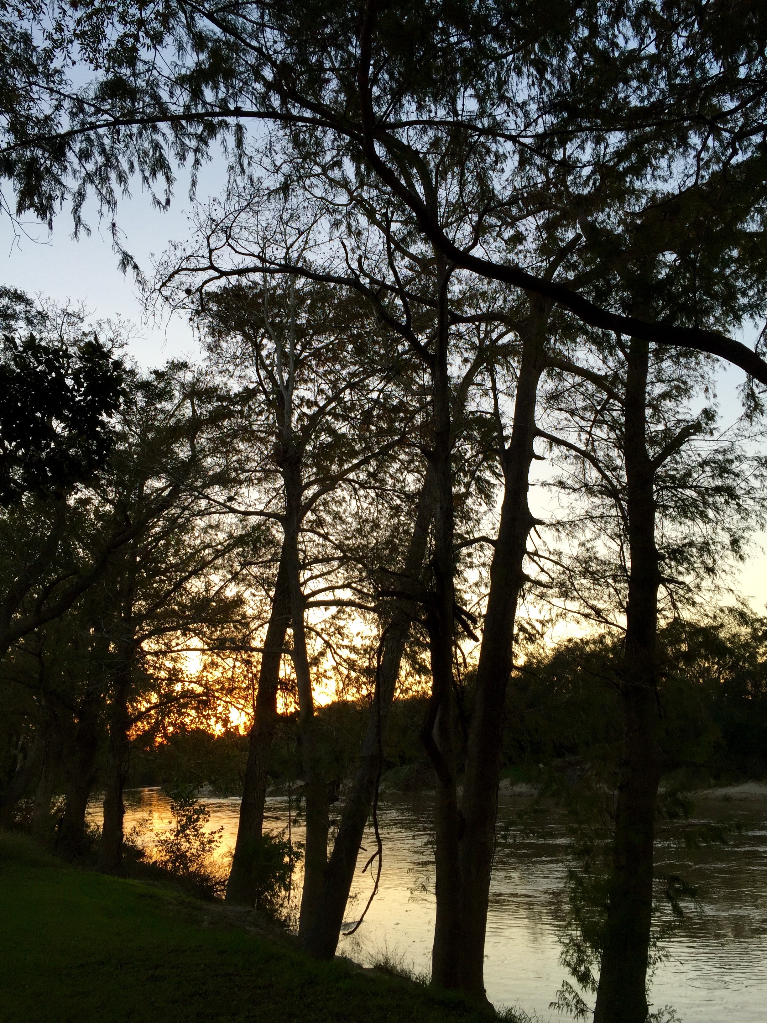 texas backyard