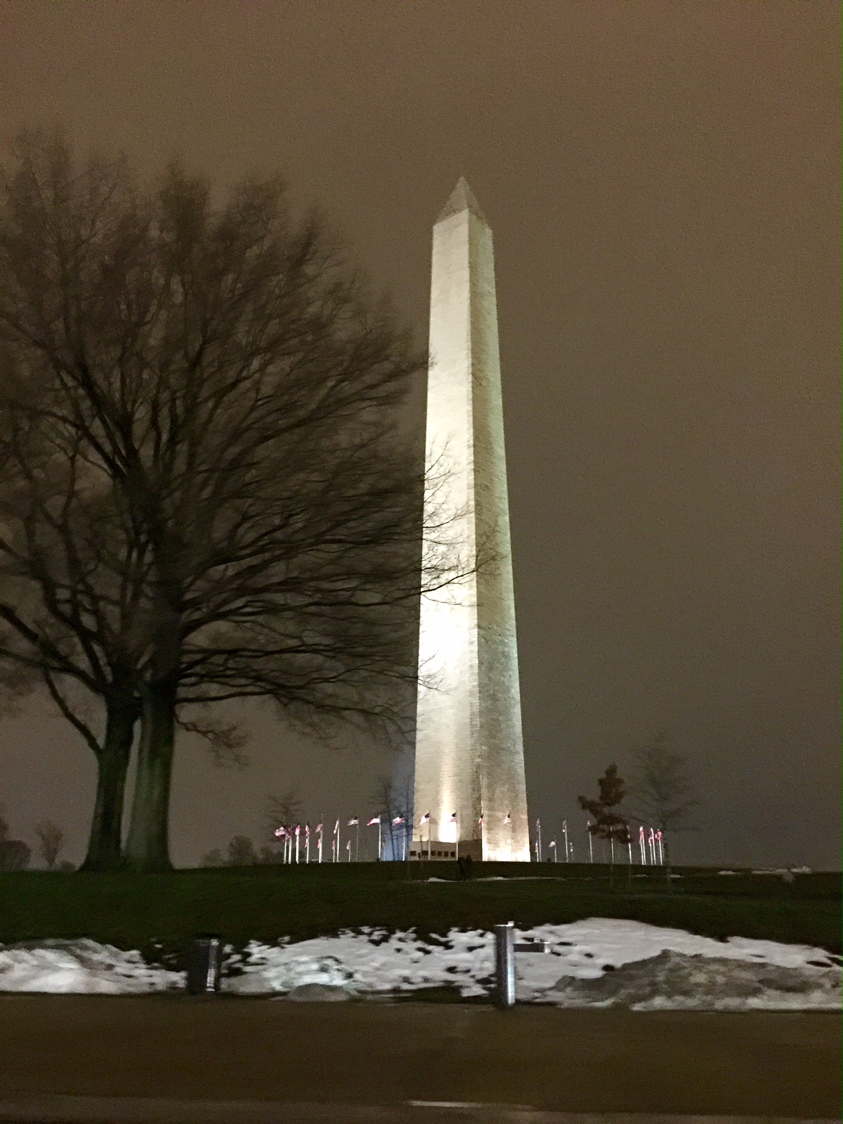 gratitude list: D.C. edition