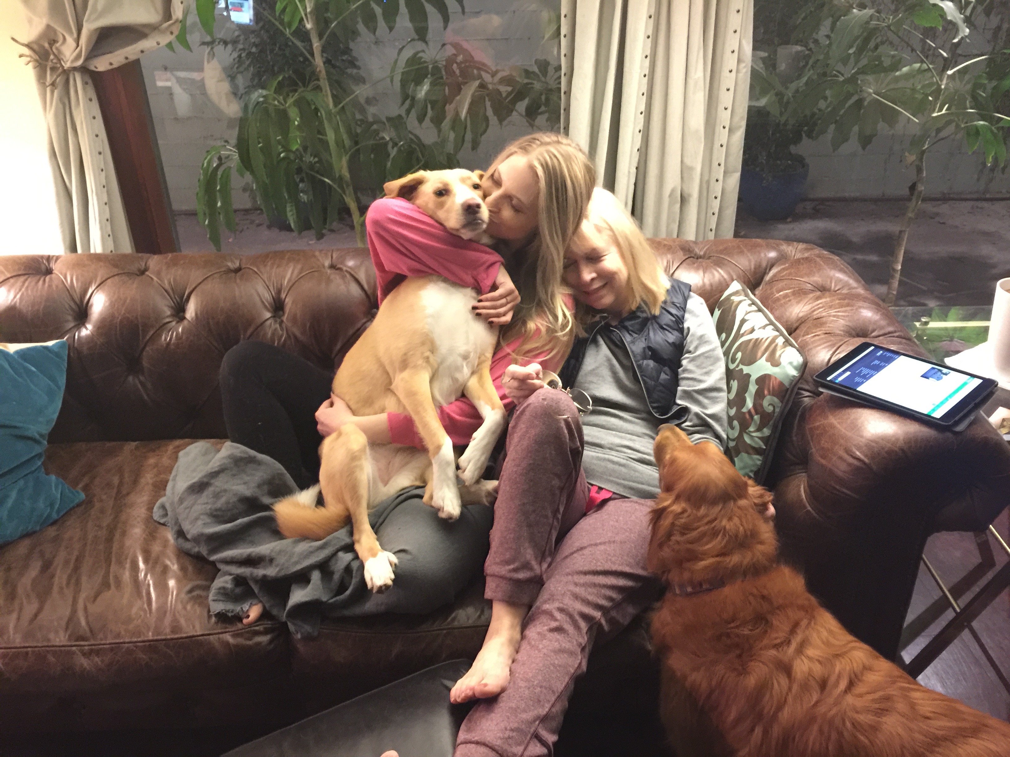 3 generations: Mother, Daughter, Dog Babies